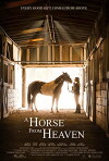 A Horse from Heaven (2018)