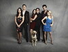Perfect Couples (2010)