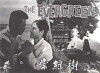 Evergreen Tree (1961)