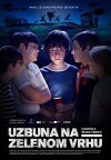 The Mystery of Green Hill (2017)