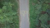 When Everything's Gone (2017)
