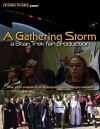 A Gathering Storm: A Star Trek Fan Production (2017)
