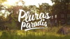 Pluras paradis (2015)