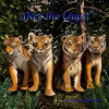 Tigers' Quest III: After the Quest (2010)