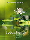 The Lotus Pond (2010)