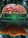 Yellow Elanor (2015)