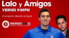 Lalo y Amigos (2012)