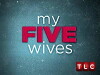 My Five Wives (2013)