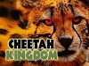 Cheetah Kingdom (2010)