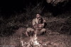 Providence Island (2017)