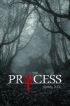 The Process (2018)