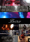 Bróðir (2014)