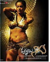 Punnami Nagu (2009)
