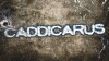 Caddicarus (2012)