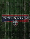 Quick Pitch (2009)