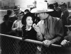 Three Texas Steers (1939)