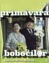Primavara bobocilor (1985)