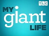 My Giant Life (2015)