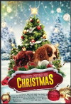 Project: Puppies for Christmas (2018)