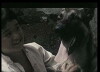 Die Brüder aus Luo He (1995)