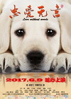 Love Without Words (2017)