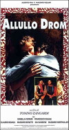 Allullo drom (1992)