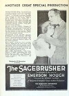The Sagebrusher (1920)