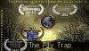 The Fly Trap (2013)