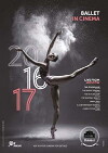 The Bolshoi Ballet: Live from Moscow (2010)