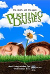 Pushing Daisies (2007)