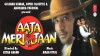 Aaja Meri Jaan (1993)