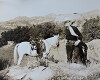 The Thundering West (1939)