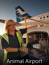Animal Airport (2012)