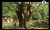 Kannante Aanakal (2013)