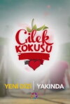 Çilek Kokusu (2015)