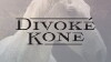 Divoké kone (2014)