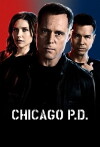 Chicago P.D. (2014)
