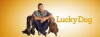 Lucky Dog (2013)