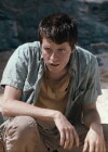 Tear Me Apart (2015)