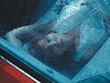Miracle (2017)