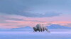 Avatar: The Last Airbender (2019)