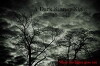 A Dark Stormy Night (2018)