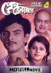Prem Joyare (1991)