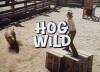 Hog Wild (1974)