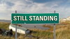 Still Standing (2015)