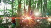 Dreamscape (2016)