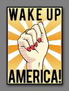 Wake Up America! (2016)