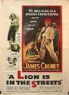 A Lion Is in the Streets (1953)