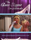 The Glass Slipper Confessionals (2014)