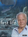 First Life (2010)